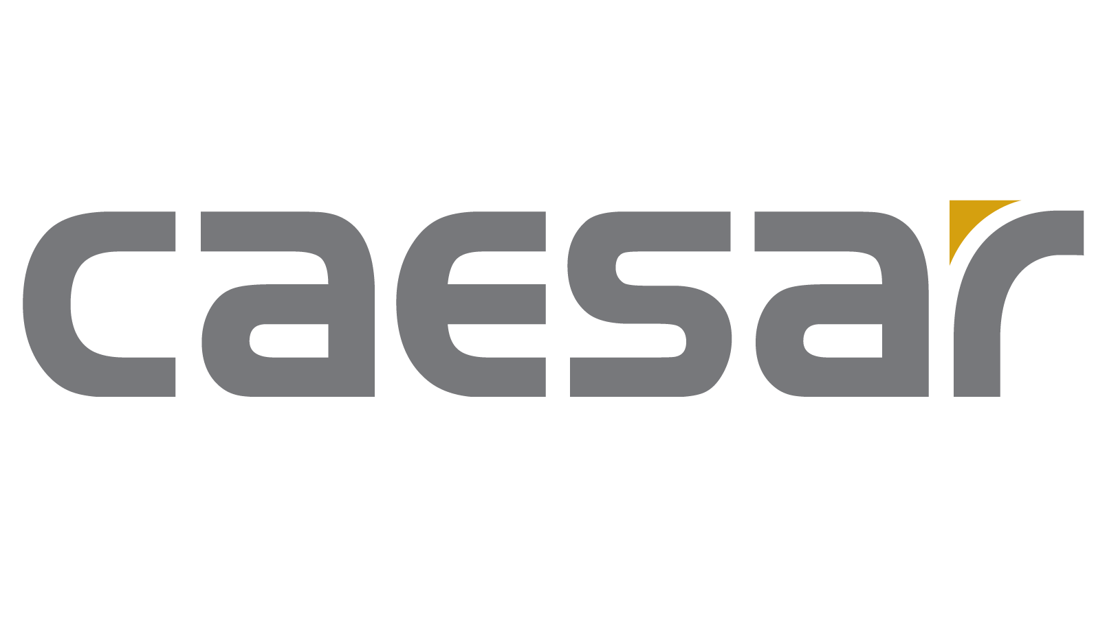 Caesar-Logo-Grey-copy